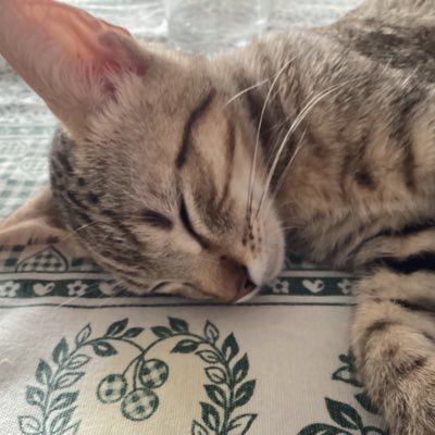 Lukartさんのプロフィール画像