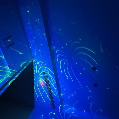 goodman_579's profile picture. 