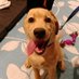 Katherine Ashburner ๐ช๐บ๐ธ (@katherineashbu8) Twitter profile photo Katherine Ashburner ๐ช๐บ๐ธ (@katherineashbu8) Twitter profile photo