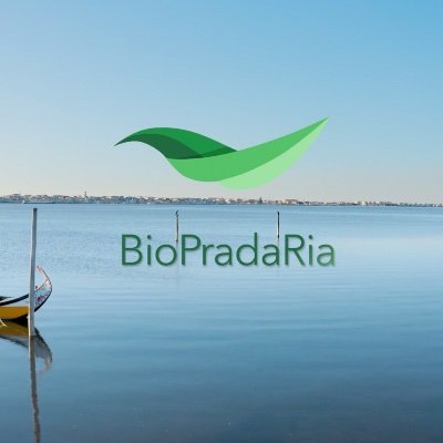 BioPradaRia Profile Picture