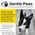 Steve GP (@gentlepawswalks) Twitter profile photo Steve GP (@gentlepawswalks) Twitter profile photo