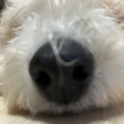 리에さんのプロフィール画像
