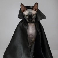 Nacho (@naxxoke) 's Twitter Profile