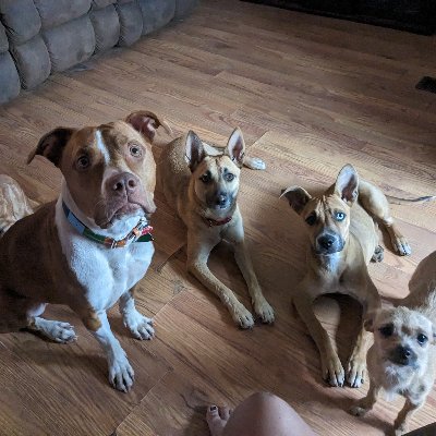 SmileTwiceNesa's profile picture. Fuck you