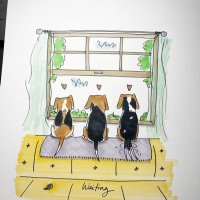 Lily🐶🐞Molly🐶🐞and Jasper too🐶🐞 (@lilyandmolly1) 's Twitter Profile Photo Lily🐶🐞Molly🐶🐞and Jasper too🐶🐞 (@lilyandmolly1) 's Twitter Profile Photo