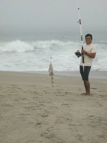 sairi_tupac's profile picture. COMPLICADO