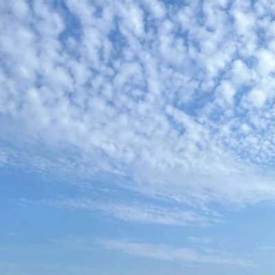 _blooming_Roses's profile picture. |✈️ Traveler| History 🌎|Cyrpto🐋|