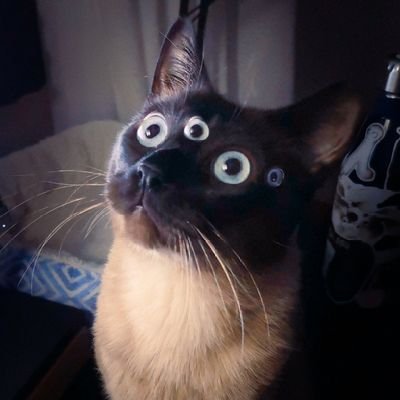 Cooper.さんのプロフィール画像