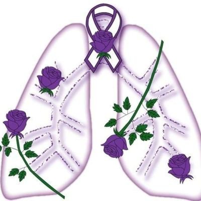 marinamares23's profile picture. Porque Merecemos un mejor país, NO a la demencia que gobierna.