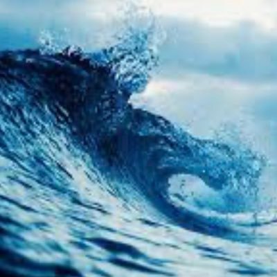 now_justice's profile picture. Access for all to safe & healthy environments, healthcare cradle to grave, equal justice. Save Democracy! Squash fascism.