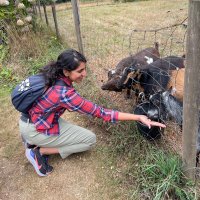 Shaan Chopra (@shaan_chopra97) 's Twitter Profile Photo Shaan Chopra (@shaan_chopra97) 's Twitter Profile Photo