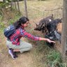 Shaan_Chopra97's profile picture. HCI, HealthTech, Health Informatics, Culturally-Responsive Design. PhD student @uwcse. Discus thrower, hiker, biker, will play any sport.  Ask me about mochas.