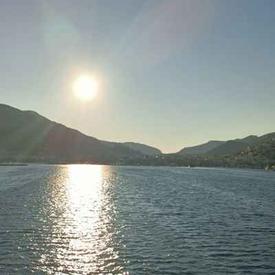 vasog12's profile picture. 