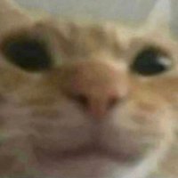 om3y (@om3yval) 's Twitter Profile Photo om3y (@om3yval) 's Twitter Profile Photo