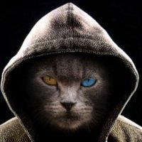 KoolKitten (@koolkitty58) 's Twitter Profile