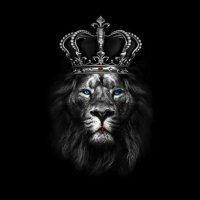 للحرية ثمن (@lrqylr1) 's Twitter Profile Photo