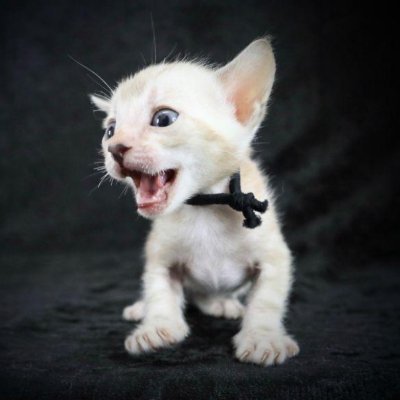 shmanon0909's profile picture. 混浴温泉が大好きです。