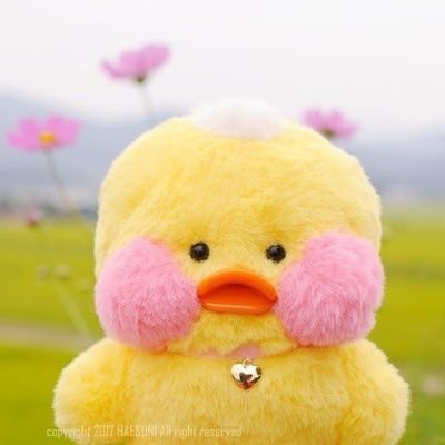 bit19214's profile picture. 올프
🩵