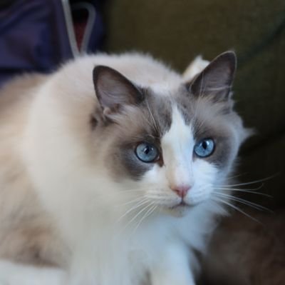 tadaphoo37's profile picture. サッカーと競馬好きです!

小学5年生の息子がクラブチームで活動しております！