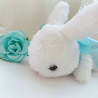 ちょんさんのプロフィール画像