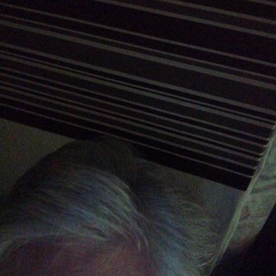 seankaley's profile picture. Hair loss guru real cure for hair loss message me