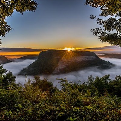 Asa Holcombe 2025 Profile