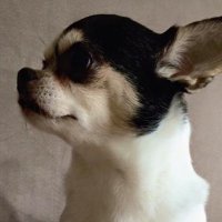 skzgg HYUNJIN (@skg_gg) 's Twitter Profile Photo skzgg HYUNJIN (@skg_gg) 's Twitter Profile Photo
