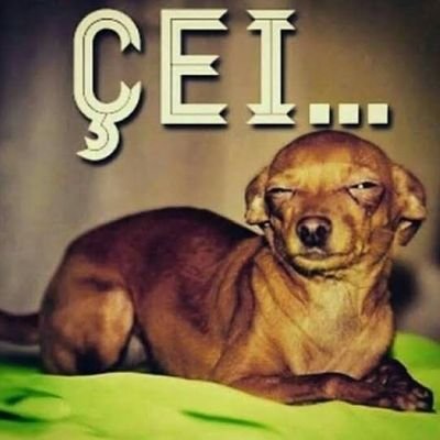 Folcom01265210's profile picture. Pitacos e reclamações de diferentes temas.