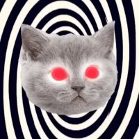 . (@crocsanalyst) 's Twitter Profile
