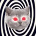 . (@crocsanalyst) Twitter profile photo . (@crocsanalyst) Twitter profile photo