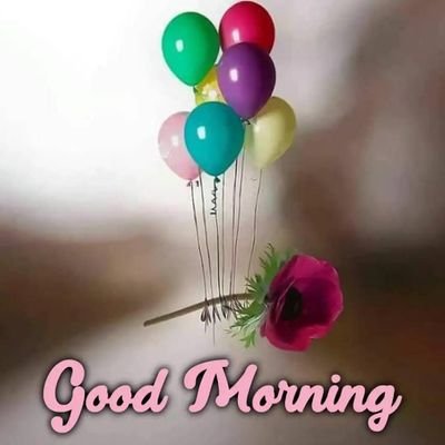 vipen_thaper's profile picture. 