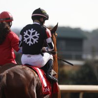 Flurry Racing Stables (@flurry_racing) 's Twitter Profile Photo Flurry Racing Stables (@flurry_racing) 's Twitter Profile Photo