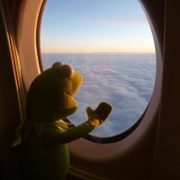 DooL (@dooling_) 's Twitter Profile