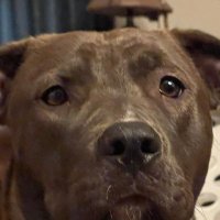 Betty Irvin (@bettyirvin2) 's Twitter Profile