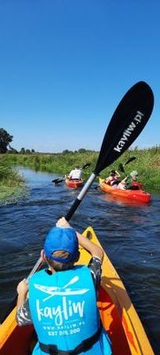 MariuszKosiak's profile picture. Poznacie prawdę, a prawda was wyzwoli