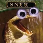 ssisnake Profile Picture