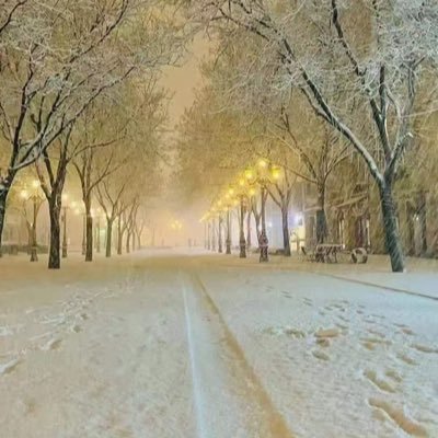 lhylqy1119's profile picture. 重新开始