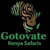 GOTOVATE KENYA SAFARIS (@gotkenyasafaris) 's Twitter Profile