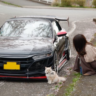 通勤カーだったりユーザーデモカーだったりお買い物カーだったり旅行カーだったりする元黒ピンク #ガゼルパンチ所属 #GAZELLEPUNCH