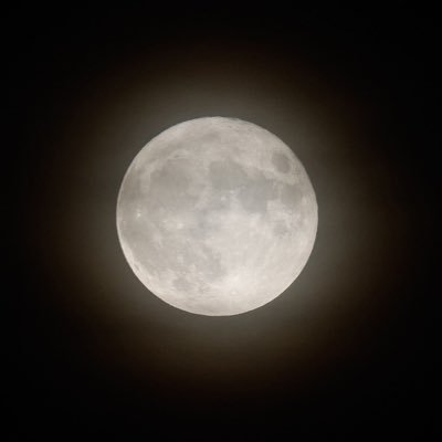 BunnyBoyn's profile picture. 