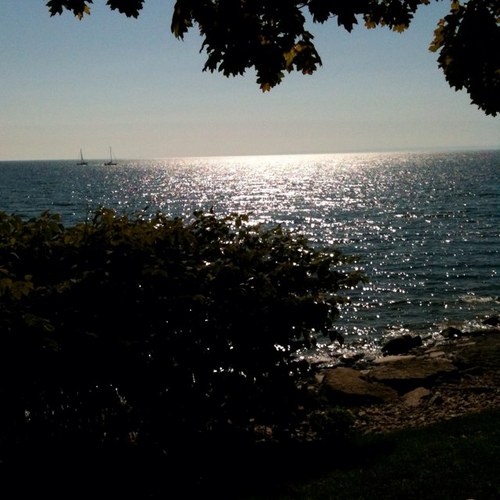 Rooooroooo's profile picture. 