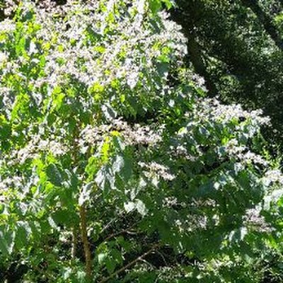 D7a1kYiATy68324's profile picture. 