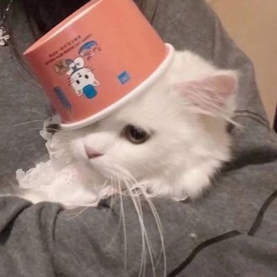 kiyooooose's profile picture. 