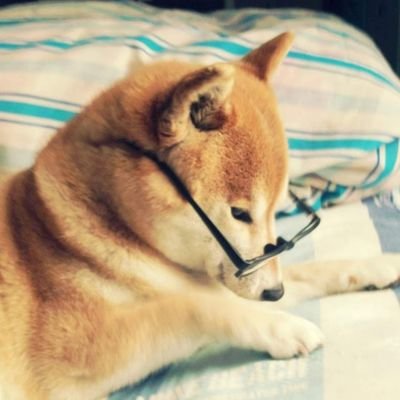 kaaan63450183's profile picture. 息子の影響で電車・新幹線に詳しくなった2児の母🚄
【好き】旅行、音楽、フェス、ディズニー、新幹線、スイーツ、料理、動物、Eテレ、朝ドラ、すみっコ、スヌーピー、サンリオ、ベビタピ、リアルピース
【STARTO&TOBE好き】∞→💚🖤、🌈→💚💜、💎→❤、⛄️→💚💙よりのALL
娘と推し活が夢♡