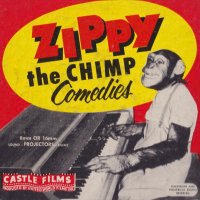 Zippy (@zellaquixote) 's Twitter Profile