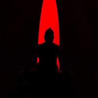 ALFRED DAVID (@fr666c) 's Twitter Profile