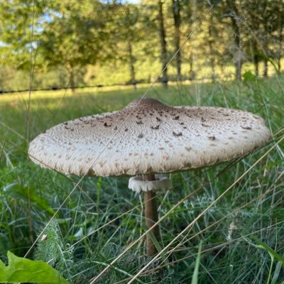 reb_salden's profile picture. 