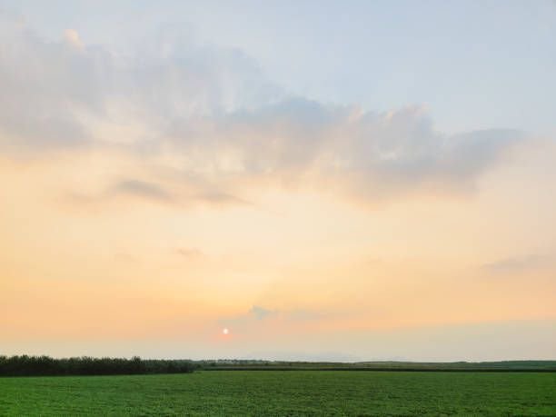 GawaMiki's profile picture. 普段ライブして小銭稼いでいます、もしよかったら見るだけ見に来て下さい💜