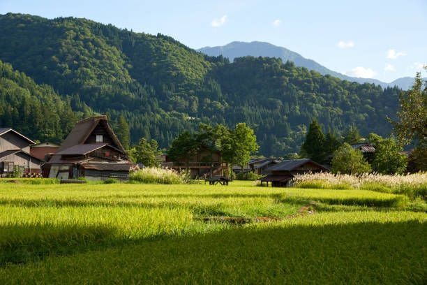 yzxio915792's profile picture. 普段ライブして小銭稼いでいます、もしよかったら見るだけ見に来て下さい💜