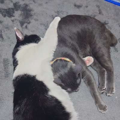 👨‍👩‍👦 中2息子の父 🐱保護猫3
💹投資歴　2020年12月から🔰
🇺🇸 #BND #VYM #HDV #JEPI #JEPQ #QYLD #NVDA #QQQ #VOO #VTI
🚀 #ASTR RKLB SPCE
💻独学でエクセルVBA